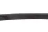 Ремінь генератора BMW 3 (E46)/5 (E39) 1.8D/2.0D 98-03 (5PK835) MEYLE 050 005 0835 (фото 3)