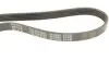 Ремінь генератора Audi A6 08- (5PK950) MEYLE 050 005 0950 (фото 4)