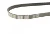 Ремень генератора BMW 5 (E39)/7 (E32) 92-03 M60/S62 (5PK980) MEYLE 050 005 0980 (фото 2)