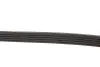 Ремень генератора VW Passat B5/Audi A4/A6 1.9TDI 98- (5PK1435) MEYLE 050 005 1435 (фото 4)