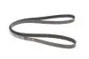 Ремень генератора VW Passat B5/Audi A4/A6 1.9TDI 98- (5PK1435) MEYLE 050 005 1435 (фото 5)