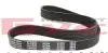 Ремень генератора Citroen Berlingo/Peugeot Partner 1.6HDI (6PK800) MEYLE 050 006 0800 (фото 2)