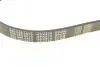 Ремень генератора Citroen Jumper/Peugeot Boxer 2.0/2.2HDi 04-(-AC)/Opel Movano 2.5D MEYLE 050 006 0875 (фото 3)