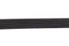 Ремінь генератора Citroen Jumper/Fiat Ducato 2.8HDi/JTD 00- (ALT,WP) (6PK995) MEYLE 050 006 0995 (фото 3)