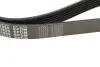 Ремень генератора VW Caddy 1.9D/SDI-03 (6PK1035) MEYLE 050 006 1035 (фото 4)