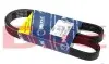 Ремень генератора Peugeot Boxer 2.0 94-/VW Caddy 1.4 04- (6PK1100) MEYLE 050 006 1100 (фото 1)