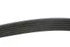 Ремень генератора Fiat Ducato/Citroen Jumper 1.9D/TD 94-/Renault Trafic 2.5dCI 03- (6PK1155) MEYLE 050 006 1155 (фото 3)