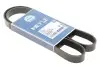 Ремінь генератора Renault Laguna 2.0 95-01 (6PK1240) MEYLE 050 006 1240 (фото 2)