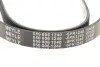 Ремінь генератора Renault Laguna 2.0 95-01 (6PK1240) MEYLE 050 006 1240 (фото 5)