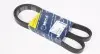 Ремень генератора VW Golf/VW Bora 2.3 -00 (-AC) (6PK1290) MEYLE 050 006 1290 (фото 1)