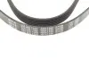 Ремень генератора Citroen Berlingo 1.6HDI 08- (6PK1360) MEYLE 050 006 1360 (фото 4)