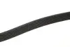 Ремінь генератора Opel Astra 1.7CDTI (6PK1623) MEYLE 050 006 1623 (фото 2)