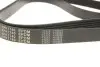 Ремень генератора Peugeot Expert/Citroen Berlingo 1.9D/TD 96-/2.0HDI 00- (6PK1740) MEYLE 050 006 1740 (фото 2)