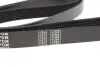 Ремень генератора VW LT 2.5TDI 96-01/Peugeot Expert 1.9D/2.0HDI 98- (6PK1750) MEYLE 050 006 1750 (фото 3)