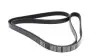 Ремень генератора MB G-class (W461) M102 89-00 (6PK1856) MEYLE 050 006 1856 (фото 3)