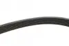 Ремінь генератора VW LT 28-35/28-46 2.8TDI 01-06 MEYLE 050 006 2155 (фото 3)