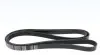 Ремень генератора Porsche Cayenne/VW Touareg 3.0 TDI 09- (6PK2475) MEYLE 050 006 2475 (фото 3)