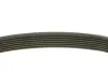 Ремінь генератора Renault Megane/Scenic 1.9dCi/2.0 03-/Nissan Juke 1.6 10- (7PK1125) MEYLE 050 007 1125 (фото 2)