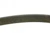 Ремінь генератора Mazda 3/5/6 2.0 DI/CD 02-10 (8PK1226) MEYLE 050 008 1226 (фото 2)
