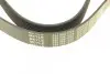 Ремінь генератора Mazda 3/5/6 2.0 DI/CD 02-10 (8PK1226) MEYLE 050 008 1226 (фото 3)