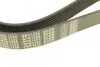 Ремінь генератора Mazda 3/5/6 2.0 DI/CD 02-10 (8PK1226) MEYLE 050 008 1226 (фото 4)