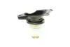 Подушка двигателя (R) VW T5/T6 1.9/2.0 TDI 03- MEYLE 100 199 0214 (фото 7)