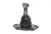 Опора кульова (передня/знизу) Fiat Ducato/Peugeot Boxer (1.8t) 02-06 MEYLE 11-16 010 0011 (фото 3)