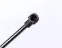 Амортизатор кришки багажника VW Golf VII Liftback 12- (531mm) MEYLE 140 910 0098 (фото 2)