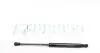 Амортизатор капота BMW 5 (E39) 95-03 MEYLE 340 160 0110 (фото 1)