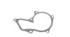 Насос воды Ford Fiesta IV/V/Focus/Fusion 1.0i/1.25/1.4i/1.6 16V 95-12/Mazda 2 03-07/Volvo 1.6 05-12 MEYLE 713 001 0015 (фото 10)
