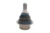 Опора шаровая (передняя/снизу) Ford Transit V184/V347 00- /Connect 02- (усиленная) MEYLE 716 010 0012/HD (фото 7)