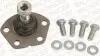 Опора кульова передня нижня CITROEN JUMPER (244) 02-, JUMPER Van (244) 02-/FIAT DUCATO Bus (244_) 01- MONROE L10520 (фото 1)