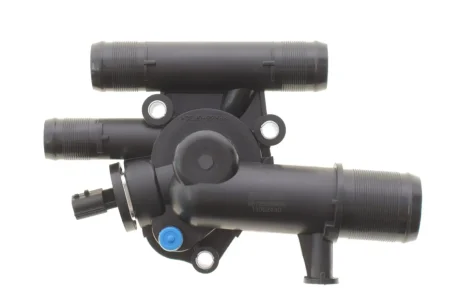 Термостат Renault Megane/Scenic 1.9dCi 02- MOTORAD 1252-89K