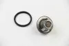 Термостат Ford Fiesta IV/Focus 1.4/1.6i 16V 97-12 (82 C) (jiggle-pin) MOTORAD 202-82J (фото 3)