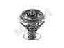 Термостат Ford Edge 3.5/3.7 06-/Mustang 4.6 V8 04-/Mazda CX-9 3.7 07- (82°C) MOTORAD 354-82K (фото 1)