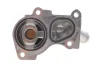 Термостат Ford Transit Connect 1.6 EcoBoost 13- MOTORAD 736-82K (фото 4)