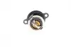 Термостат Ford Transit Connect 1.0 EcoBoost 13-(50°C) (OE) MOTORAD 773-50K (фото 4)