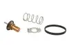 Термостат Smart ForTwo 1.0 07- (88°C) MOTORAD 799-88K (фото 2)