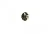 Автолампа 12V 1.2W BX8.4d Black (в щиток приладів) NARVA 170283000 (фото 4)