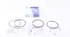 Кільця поршневі VW LT -96/T3/Caddy 1.6D-2.4D -96 (76.50mm/STD) (1.75-2.0-3.0) = 8950320000 NPR 120 050 0029 00 (фото 1)