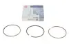 Кольца поршневые VW T4 1.9TD/2.4D 90-03 (80.00mm/+0.5) (1.75-2-3) = 8950485000 NPR 120 050 0038 21 (фото 1)