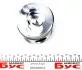 Поршень Renault Kangoo/Megane/Trafic 1.9dci 01- (80.00mm/STD) = 7138430000 NPR 130 038 0024 00 (фото 4)
