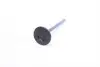 Клапан (выпуск) Citroen C1/C3/Peugeot 108/308 1.2/1.2VTi 12-(26х4.97х91.85) = 5737000000 NPR 148 037 0001 00 (фото 2)