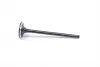 Клапан (выпуск) Citroen C1/C3/Peugeot 108/308 1.2/1.2VTi 12-(26х4.97х91.85) = 5737000000 NPR 148 037 0001 00 (фото 3)