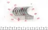 Вкладыши шатунные Fiat Ducato 2.3JTD 02-(STD) = 6120740000 NPR 181 121 0011 00 (фото 2)