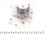 Вкладыши шатунные Fiat Ducato 2.3JTD 02-(STD) = 6120740000 NPR 181 121 0011 00 (фото 3)