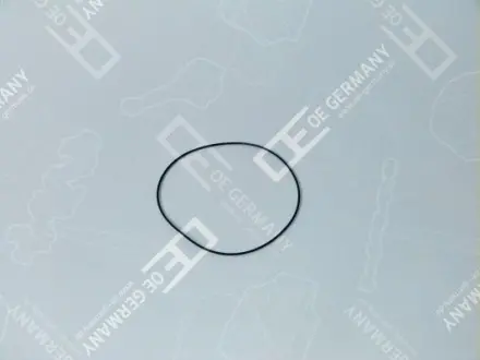 Ущільнююче кільце муфти циліндра OE Germany 040111226001