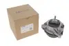 Подушка двигуна (L) BMW 1 (F20)/3 (F30/F80) 11-19 B37/B47/N20/N26/N47/N55 OE Germany 800993 (фото 1)