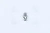 Лампа софитная поможет. освещение C10W 12V 10W SV8.5-8 (выр-во) OSRAM 6438 (фото 4)