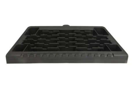 Сходинка кабіни сітка Лів/Прав RVI T 01.13- PACOL RVISP023